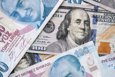 2025 Yılı İçin Dolar/TL Beklentileri ve Tahminler
